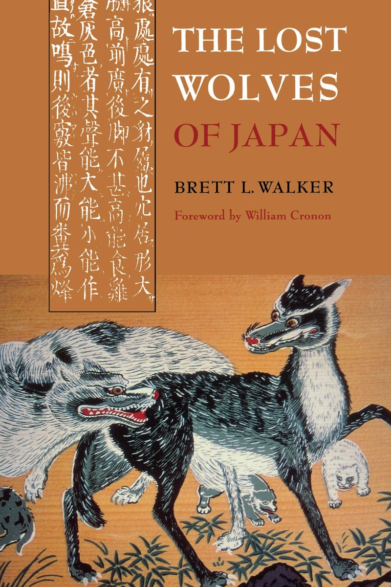 Lost Japan