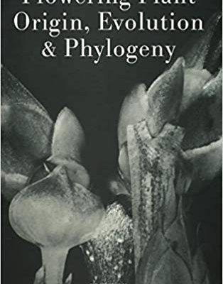 Flowering Plant Origin, Evolution & Phylogeny