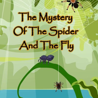 The Spider And The Fly
