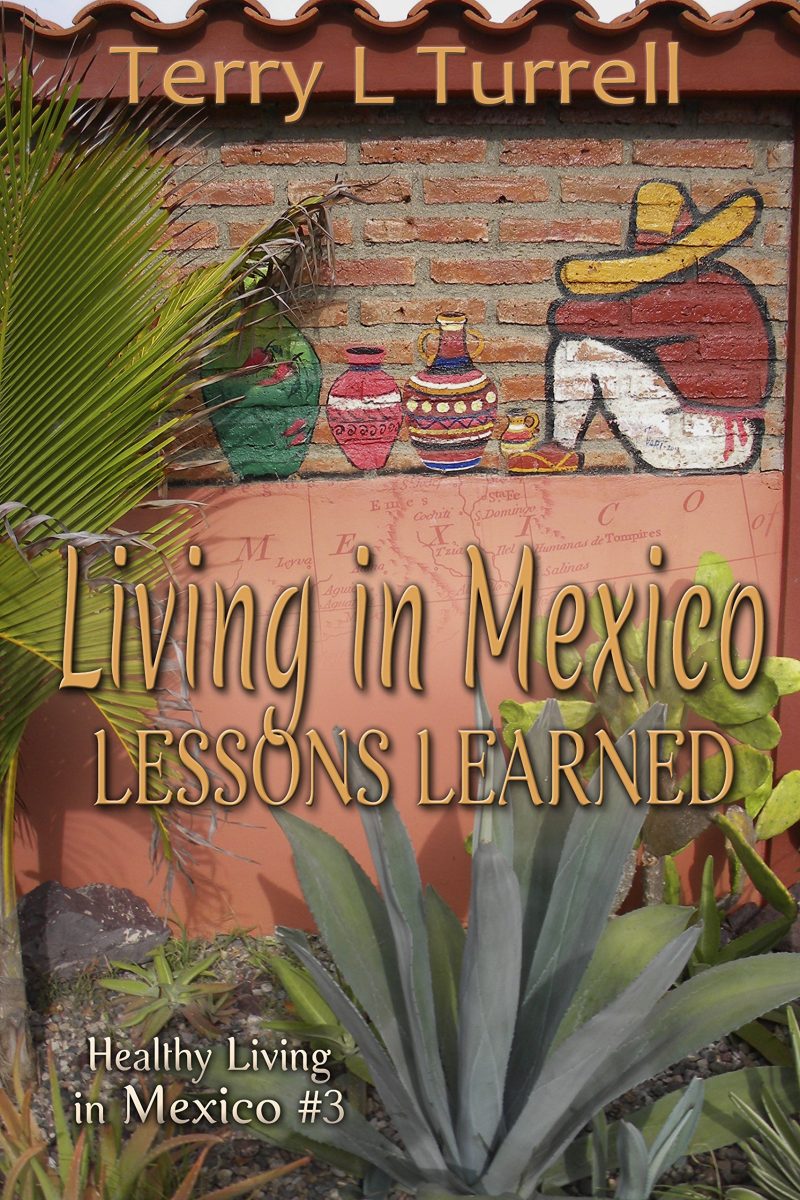 Living in . . . Mexico