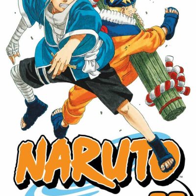 Naruto 22