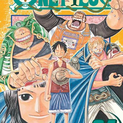 One Piece 24
