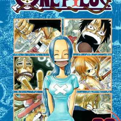 One Piece 23
