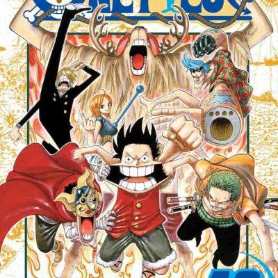 One Piece 43