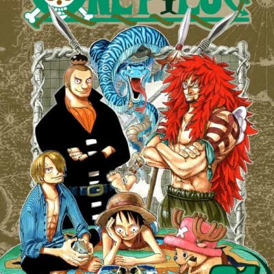 One Piece 31