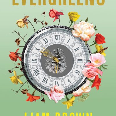 Evergreens: Winner of the Contemporary Romantic Novel Award 2024