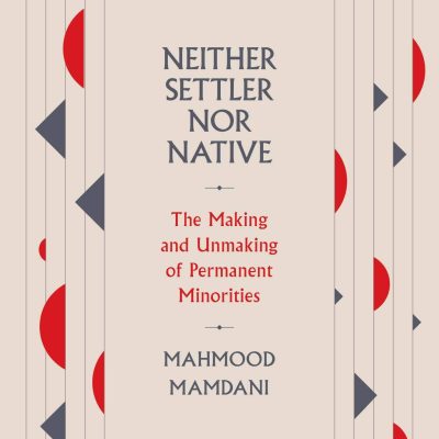Neither Settler nor Native : The Making and Unmaking of Permanent Minorities