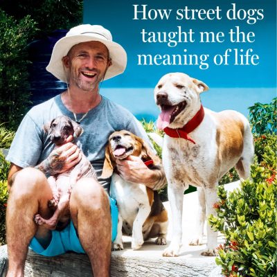 Hope How Street Dogs Taught Me the Meaning of Life