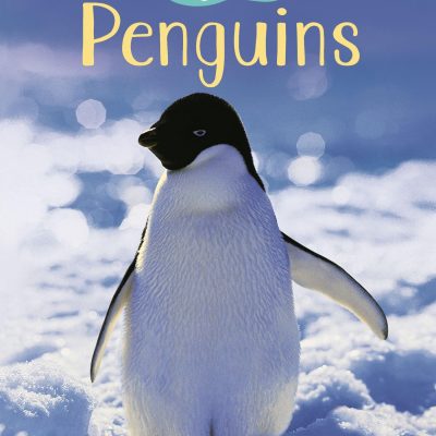 Penguins