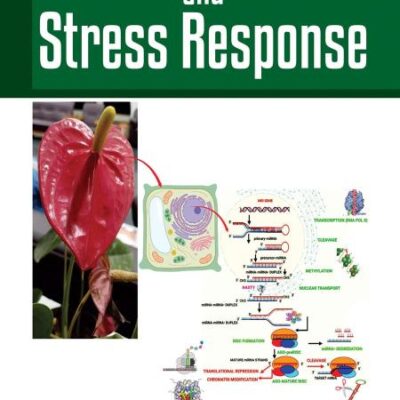 Plant MicroRNAs and Stress Response