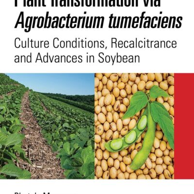 Plant Transformation via Agrobacterium Tumefaciens