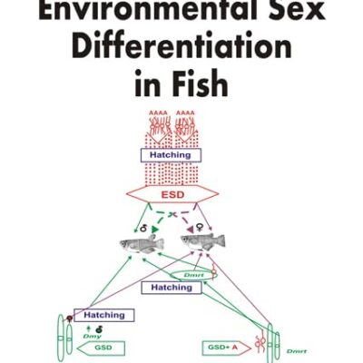 ENVIRONMENTAL SEX DIFFERENTIATION IN FISH (HB 2015)