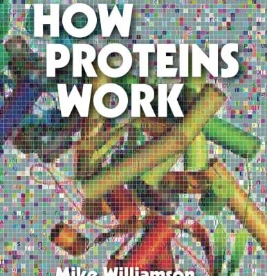 HOW PROTEINS WORK (PB 2012)