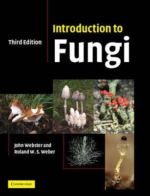 INTRODUCTION TO FUNGI