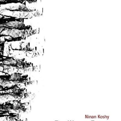 The War on Terror: Reordering the World