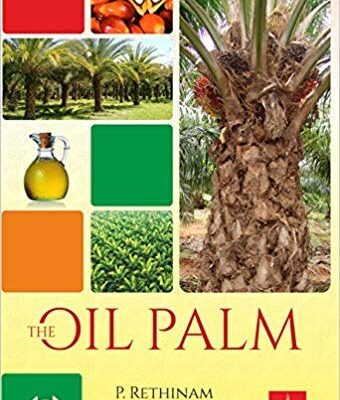 Oil Palm