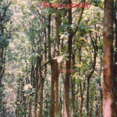 Teak (Tectona grandis)