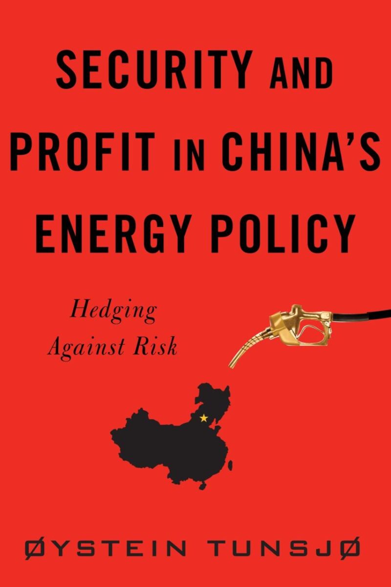 Security and Profit in China`s Energy Policy: Hedging Against Risk (Contemporary Asia in the World)